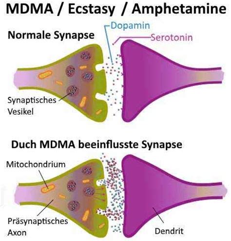 Ecstasy: Substanz & Wirkung 